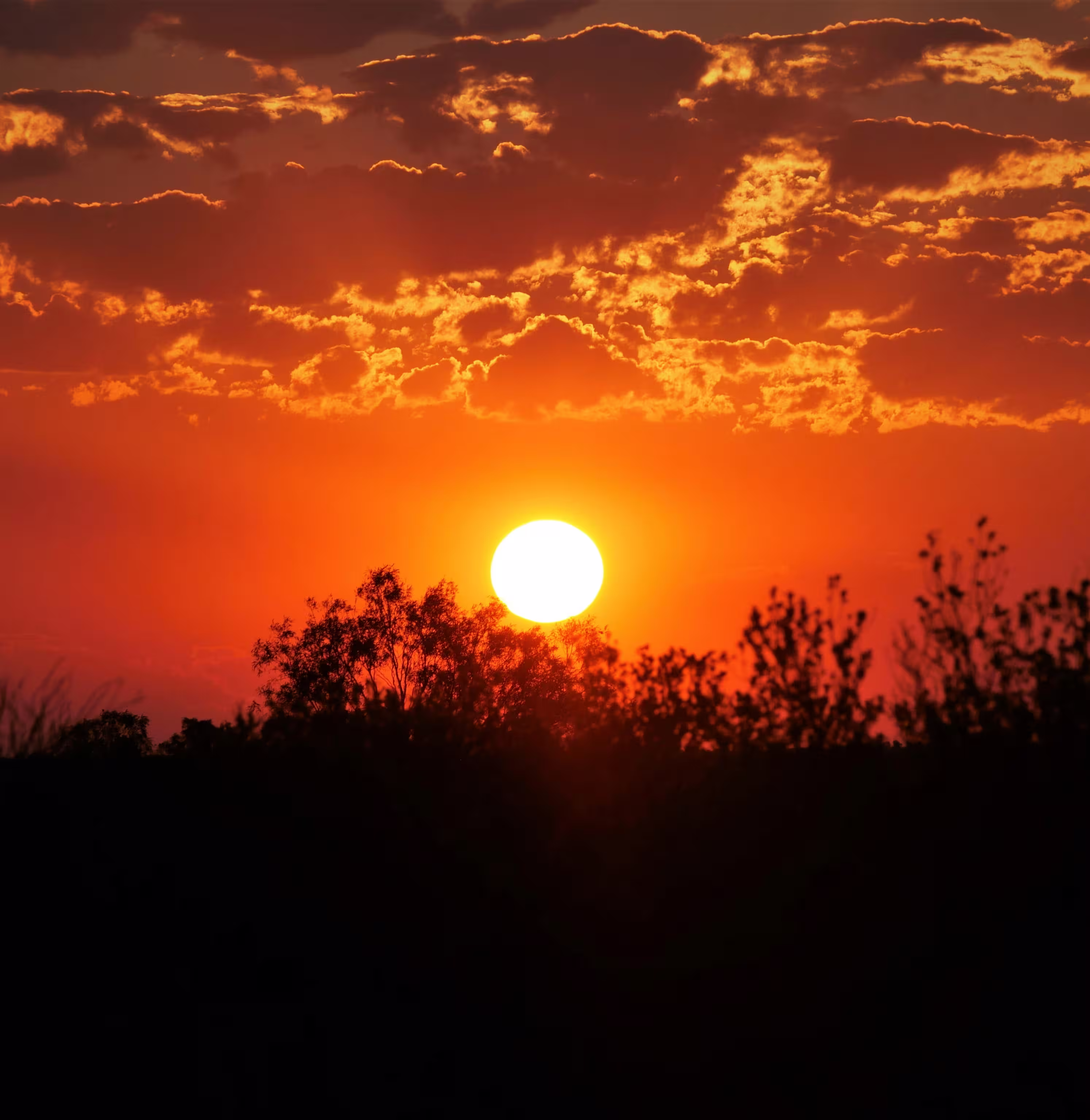 Indigenous Australian art