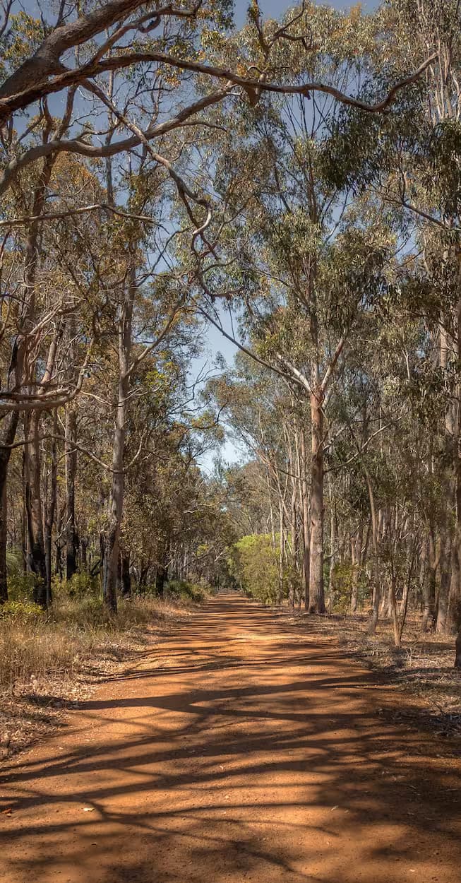 Indigenous Australian art